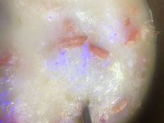 -半岛私房菜(梅林店)