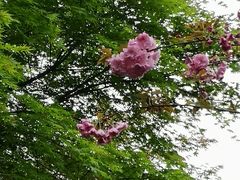 -杭州城北体育公园