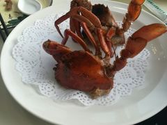 -鑫悦楼煎蟹·16年海鲜大排档