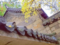-青岛崂山太清宫
