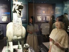 -广西壮族自治区博物馆