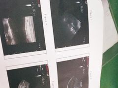 -北京观赏动物医院·24小时大型综合·猫专科·异宠专科