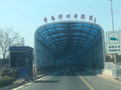 -胶州湾海底隧道