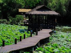 -绍兴东湖风景区