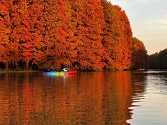 -上海海湾国家森林公园