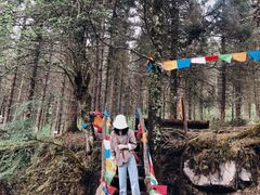 -硗碛藏寨·神木垒景区