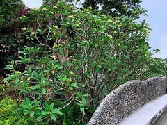 -华南国家植物园-售票处