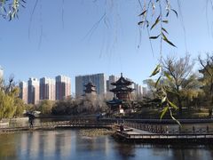 -迎泽公园