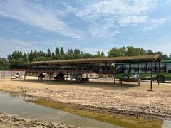 -鄂尔多斯野生动物园