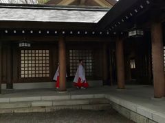 -北海道神宫