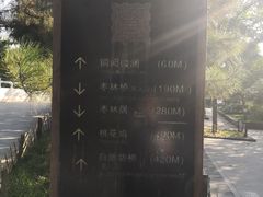 -金宫殿故址