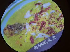 -青叶202都市餐厅(迪诺水镇店)