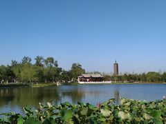 -西海子公园