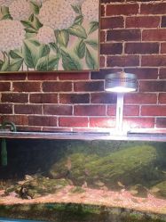 -青木造型HAIR·あおき髪を刈る潮人店