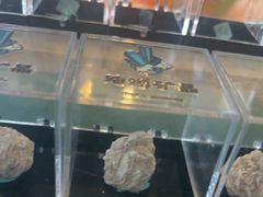 -房山世界地质公园博物馆