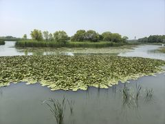 -苏州太湖湖滨国家湿地公园