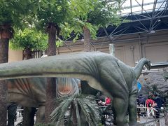 -国家自然博物馆