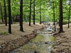 -白水寺森林公园