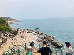 -广东惠东海龟国家级自然保护区