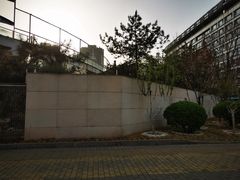 -北京八中游泳馆