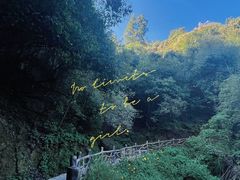 -长虫山生态公园风景林