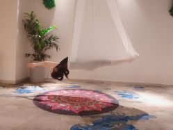 -JR Dance Space舞蹈·空中瑜伽