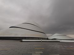 -哈尔滨大剧院