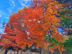 -长春世界雕塑园冰雪艺术天地