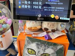 -平行世界·猫咖(首经贸店)
