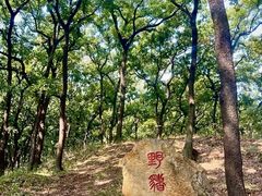 -云龙山