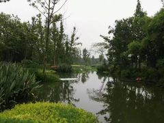 -桤木河湿地公园