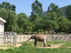 -西安秦岭野生动物园