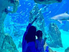 -海合安成都极地海洋公园