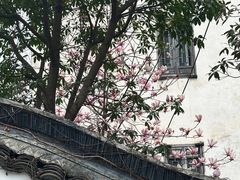 -乌镇景区