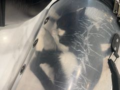 -艾吉宠物医院·疑难杂症转诊中心·猫友好(碧江路院)