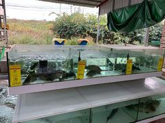 -水上人家河鲜