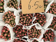 -龙大花卉苗木市场