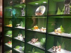 -慢丽江·云南野生菌土鸡锅(西山店)