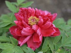 -江南大学(蠡湖校区)