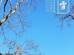 -秋霞圃