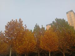 -临沂市博物馆