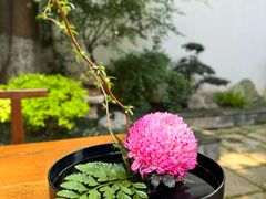 -鲤院·新中式美学·庭院餐厅(夫子庙店)