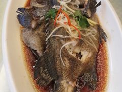 -双井轩(双井店)