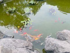 -江宁织造博物馆