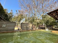 -春晖园度假酒店温泉