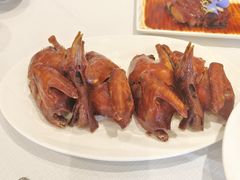 -新雅粤菜馆(南京东路店)