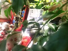 -鲸山上·私房日料(泰达MSD店)