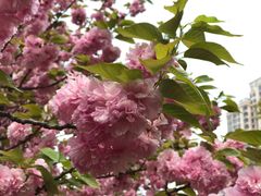 -苏州河梦清园环保主题公园