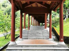 -广州神农草堂中医药博物馆