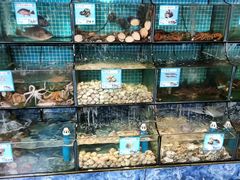 -范饭椰林川湘味海鲜·椰子鸡(三亚湾椰梦长廊店)